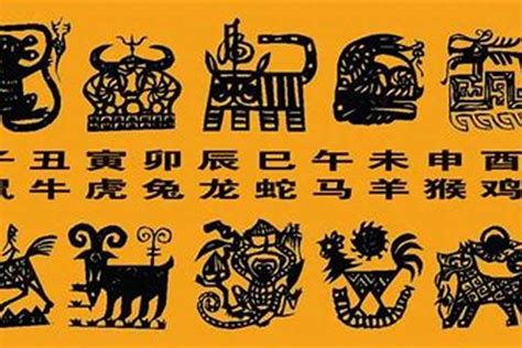 虎喜用字|生肖虎取名宜忌：打造一生旺運好名字